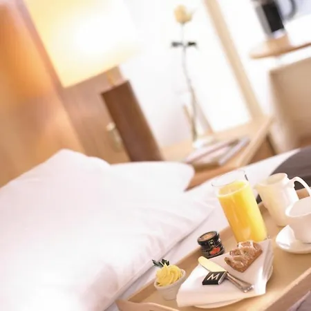 酒店 马林加公园酒店 4*